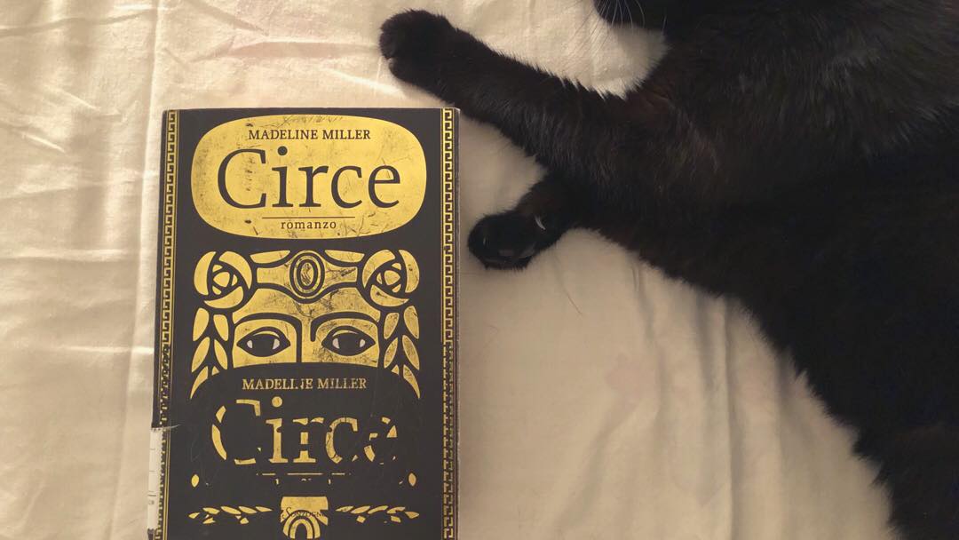 Anemonebook - Circe